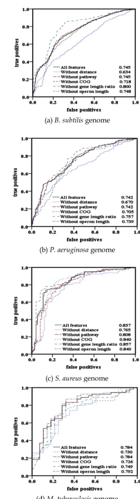 Fig. 1. WO and TUB pairs. The white arrows represent genes that are experimentally unclassified, and the gray arrow represents a singleton operon