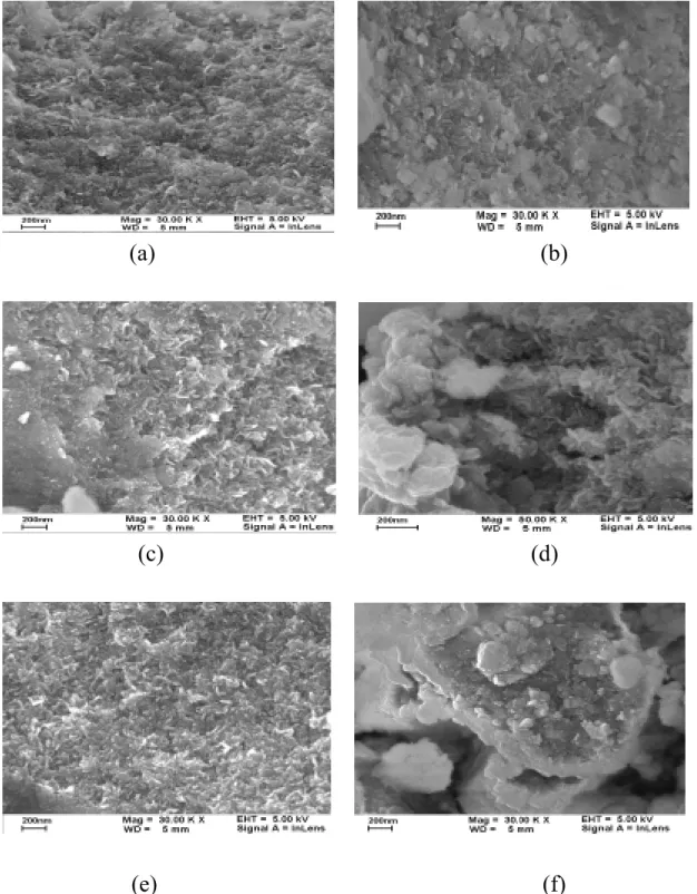 Figure 8 Micrograph showing the surface of the co-precipitated powder; 