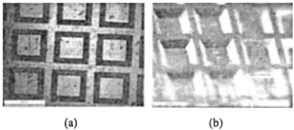 Fig. 7. (a) Topview and (b) sideview of rectangular groove rows of injection molded part.
