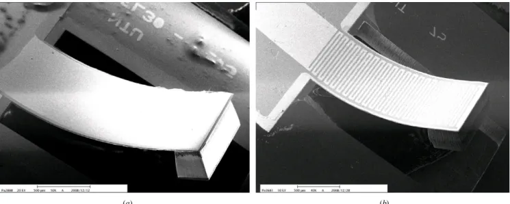 Figure 8. SEM photograph of the finished piezoelectric MEMS generators: (a) { 3–1 } mode device and (b) { 3–3 } mode device.