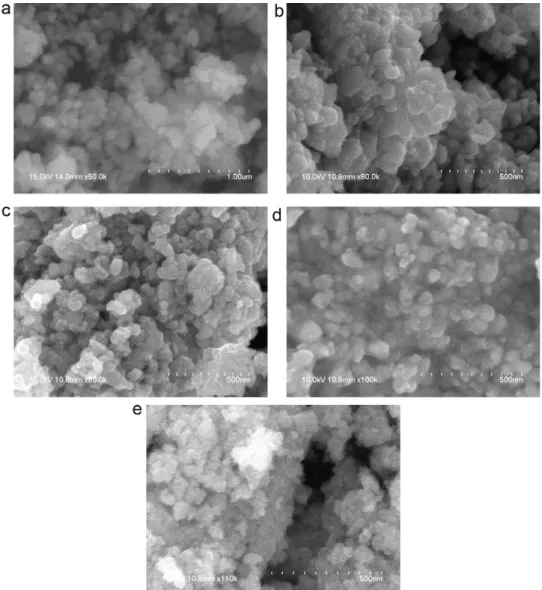Fig. 9. The SEM micrographs of the PB x T powders as a function of x: (a) x = 0.2, (b) x = 0.4, (c) x = 0.5, (d) x = 0.6, and (e) x = 0.8.
