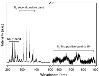 Fig. 4. A typical optical emission spectrum of NO/N 2 /O 2 (6%) mixtures at 120 W and 4 kPa.