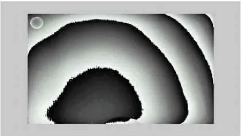 Figure 2.1.5.      The wrapped phase map of TSOP. 