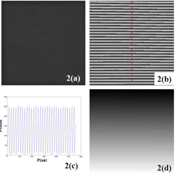 Figure 2.2.2.      (a) The deformed grating recorded by the CCD. (b) The 