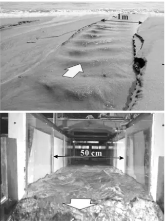 Fig. 1 Antidune ﬂows on a beach of Eastern Taiwan (top) and in the Louvain laboratory ﬂume (bottom)