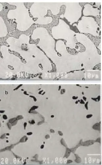 Figure 2. The EPMA back-scattering electron image (BEI) of ( a ) vacuum-arc melted,  and( b ) 950℃ annealed Ti 51 Ni 44 Si 5  alloy