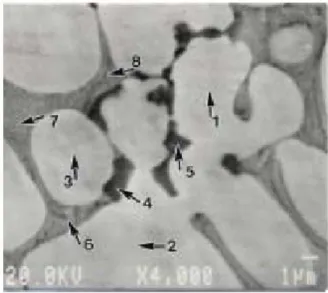 Figure 6. The EPMA back-scattering electron image for Ti 51 Ni 44 Si 5  alloy heat-treated  at 1220℃  for 5 minutes and then quenched into ice water 