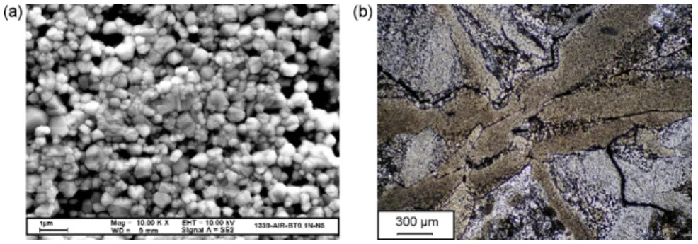 Fig. 7. Micrographs of 0.7 mol% Ni-doped BaTiO 3 specimens after sintering at 1330 ◦ C (a) and 1400 ◦ C (b).