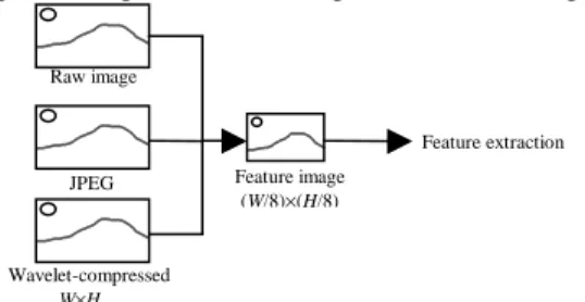 Figure 1: The feature image is directly obtained from various domains.
