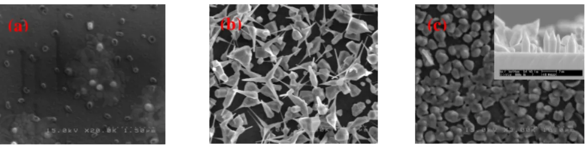 Fig. 1 shows the SEM images of ZnO nanorods grown at 1050 o C for (a) 10, (b) 30, and (c) 60 minutes.