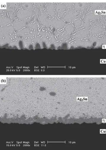 Fig. 2. Microstructure of Sn-Ag-Cu solder balls before reflow: (a) Sn2Ag0.5Cu; (b) Sn3Ag0.5Cu0.06Ni0.01Ge.