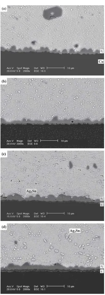 Fig. 4. Morphology of intermetallic compounds formed at the inter- inter-faces of the Sn3Ag0.5Cu solder BGA packages with an immersion Ag surface finish after aging at 100°C for various times: (a) 100, (b) 300, (c) 700, and (d) 1000 hr.