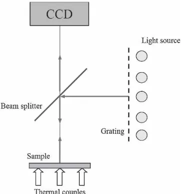Fig. 1. Schematic diagram of the experimental setup of reﬂection moire´.