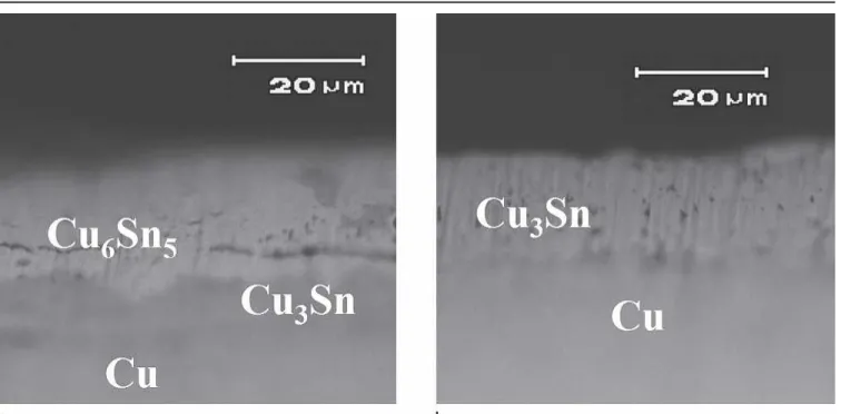 Fig. 5. Cross section of samples with Cu-Sn IMCs.