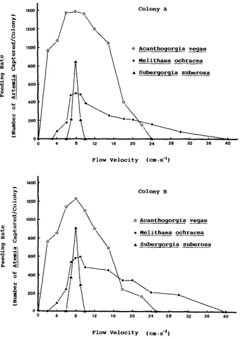 Fig.  1.  Feeding  rates  (number  of  Artemiu  captured  per  colony)  during  the  first  hour  of  exposure  to  Artemia  nauplii  of  the  three  gorgonians  (Subergorgia  suberosa;  Acanthogorgia  vegae;  Melithuea  ochracea)  in  a  range 