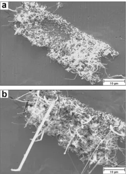 Figure 3. Hillock-type tin whiskers formed on the surface of Lu 4 Sn 5