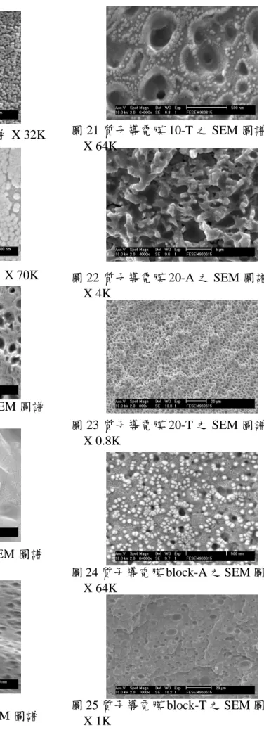 圖 16 pre-PU S31 之 SEM 圖譜 X 32K 圖 17 pre-PU 41 之 SEM 圖譜 X 70K 圖 18 質子導電膜 421-A 之 SEM 圖譜 X 4K 圖 19 質子導電膜 421-T 之 SEM 圖譜 X 20K 圖 20 質子導電膜 10-A 之 SEM 圖譜 X 64K 圖 21 質子導電膜 10-T 之 SEM 圖譜X 64K 圖 22 質子導電膜 20-A 之 SEM 圖譜X 4K圖 23 質子導電膜 20-T 之 SEM 圖譜X 0.8K 圖 24 質子導電膜 b