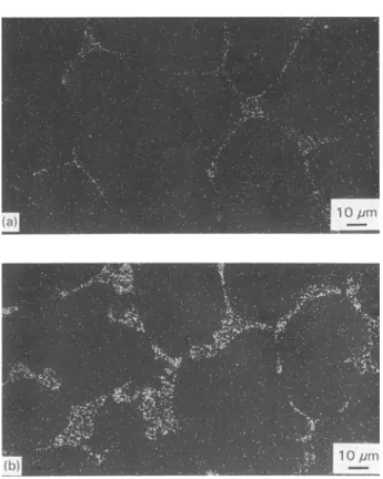 Figure  3  The  lanthanum  mapping  micrographs  of  energy-disper-  sive  X-ray  spectroscopy  for  MnAILa  alloy  with  (a)  0.3 at %  lan-  thanum,  and  (b)  0.9  at  %  lanthanum