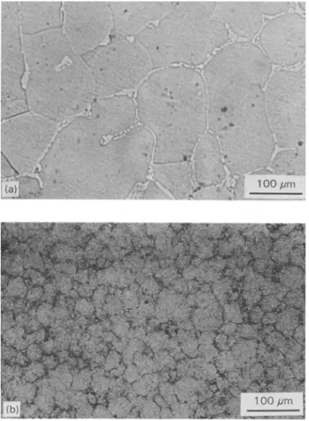 Figure  7  Optical  micrographs  of  (a)  cast  Mno.s4Alo.,,6  alloy,  and  (b)  sintered  (Mno.535Alo.448Co.o17)99.vLao