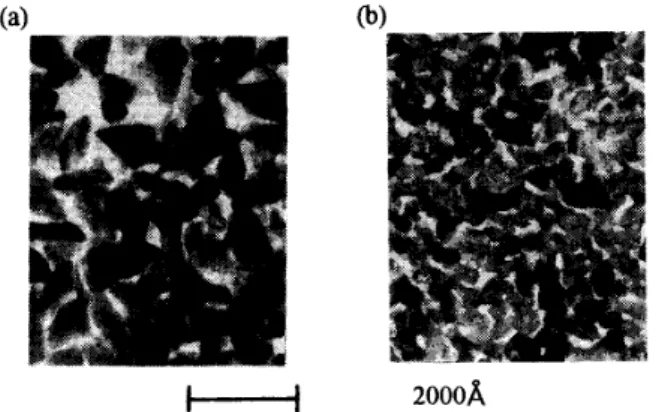 Fig.  1 The  TEM micrographs of  (a)  pure  y-Fe2O3  films,  and  (b)  (CO,  Zn)-doped y-Fe2O3 films containing 5wt.%  CO &amp;  4wt.%  Zn