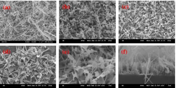 Figure 7. SEM photos of ZnO nanostructures with different graphite temperatures of 850– 1000 o C