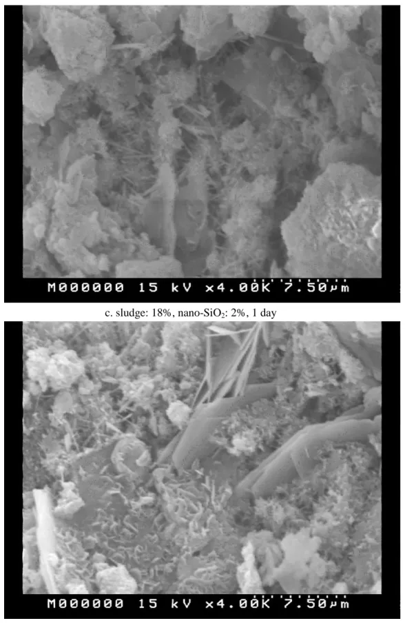 圖 10 添加部份淨水污泥灰及 nano-SiO 2 水泥漿體之 1 天 SEM 照片