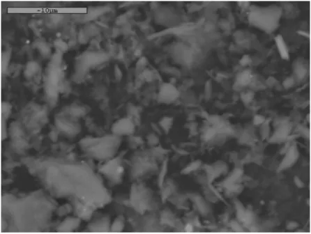 圖 1 淨水污泥灰在電子顯微鏡下放大 5000 倍之影像 2.2 試驗變數 1.水膠比：0.45 2.試體大小：5cm×5cm×5cm 3.污泥灰取代量（重量） ：10％、20％、30％ 4