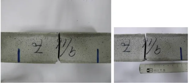 圖 5-49 C0 材預裂縫抗彎試體破壞情形 