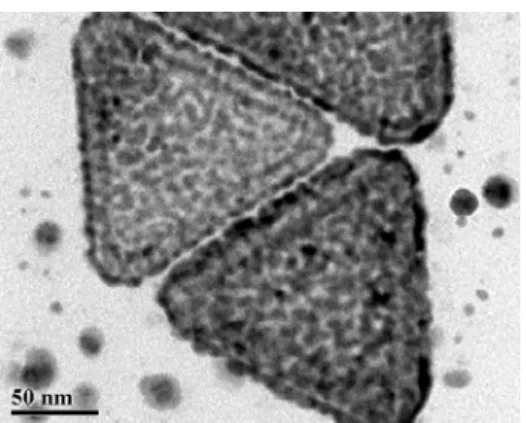 Figure 2. TEM images of porous triangular Ag/Pd and Ag nanoplates: 