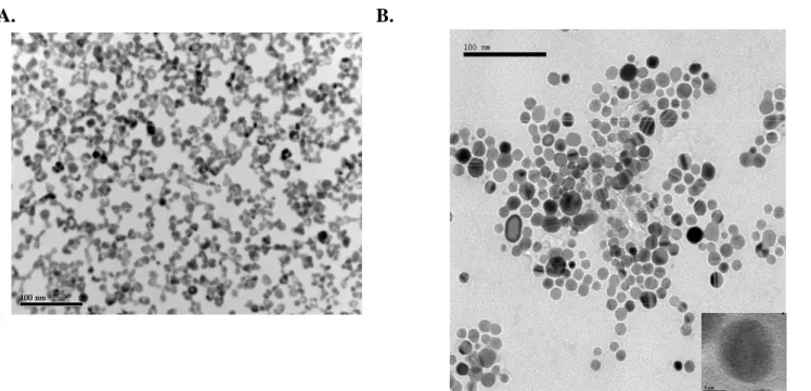 Figure 1. (A) TEM image of Ag/Pd nanorings prepared by this displacement reaction.   
