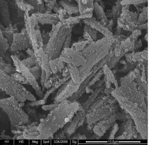 圖 5: 使用 6g DBSA 合成 Polyaniline nanotubes 之 SEM 圖 
