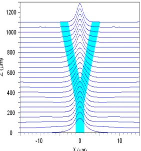 Fig. 12. The typical evolution of a wave propagating along a two-branch optical  waveguide structure with all nonlinear layers at the high input power density