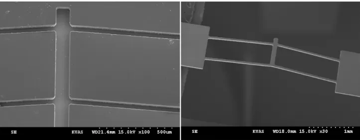 圖 9  微致動器 SU-8 光刻模 SEM 相片  圖 10  雙 V 型組合懸樑電熱式微致動器 SEM 相片 3.3  系統量測  在此說明電熱式微致動器的驅動方法與設備，並量測微致動器尖端最高溫度與致動位移 量等，再以電熱式 V 型懸樑微致動器驅動變輸出力與位移微致動器機構，並量測合後之可變 輸出力與位移微致動器輸出位移等性能，組合後之可變輸出力與位移微致動器 SEM 相片，如 圖 11 所示。  圖 11  經組合後之可變輸出力與位移微致動器 SEM 相片  在電熱式 V 型懸樑微致動器量測上，使用