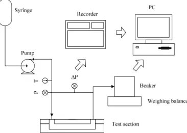 Fig. 3. Schematic diagram of the experimental setup. 