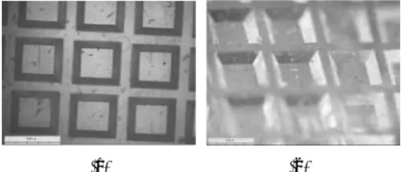 Fig. 6. (a) Topview and (b) stereoview of square groove  arrays of embossed part. 
