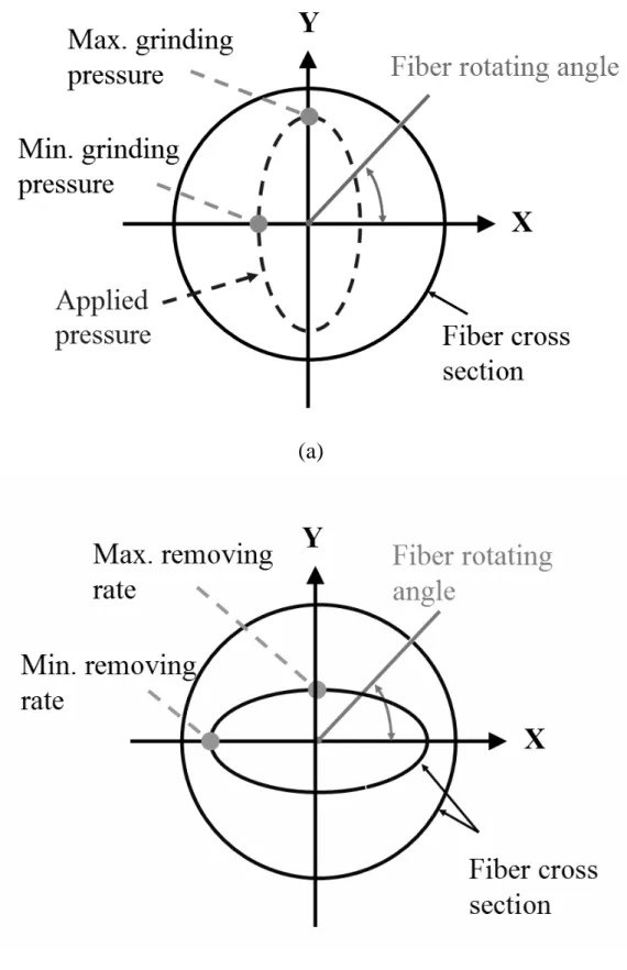 圖 5.2 光纖截面示意圖及(a)橢圓形分佈之正壓力                                          (b)研磨出之光纖截面 