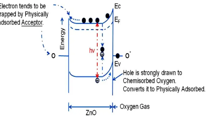 Fig. 4.5 Physical model of effect of oxygen on the conductance of ZnO and the  interaction with light