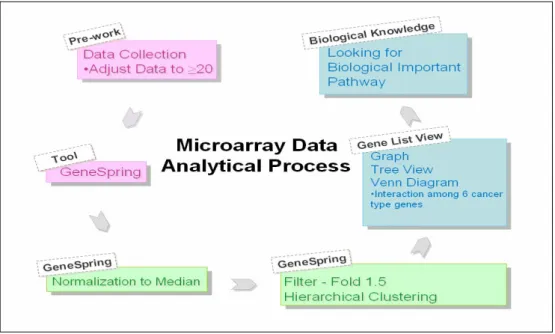 Figure 1: Flowchart for the process to analyze microarray datasets. 