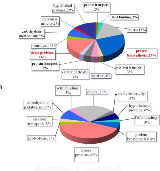 Figure 11. Functional categorization of the up-regulated genes in the amoeboid stage  compared to trophozoite of T.vaginalis