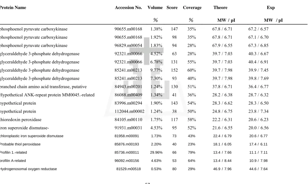 Table 2  Identification of T.vaginalis proteins in the range of pH 6-11 by MALDI-TOF peptide mass figerprinting