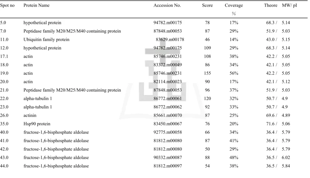 Table 3 List of down-regulated proteins identified by MALDI-TOF MS in the amoeboid stage compared to trophozoite