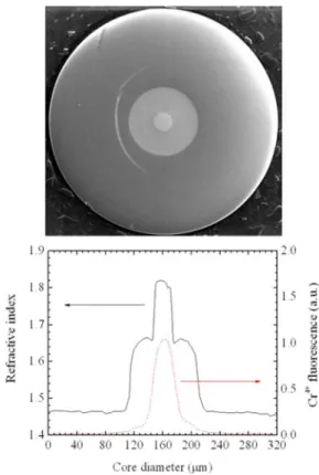 Fig. 3. Image (top) is the end face of the double-clad Cr :YAG crystal fiber.