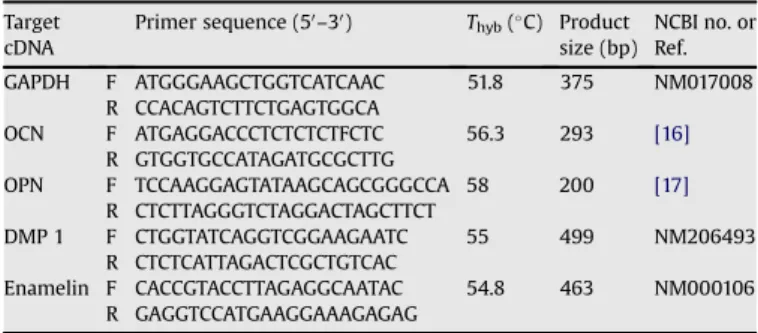Fig. 1 shows both TCPS and PVA expressed increasing levels of ALP activity and ARS assay through 7 days of culture in the differentiation medium