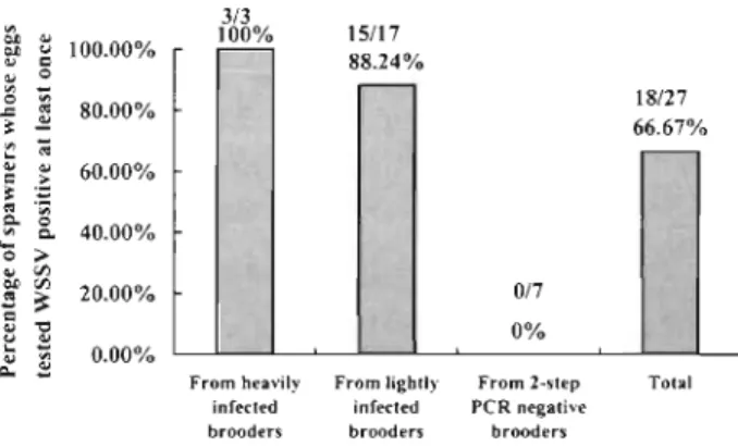 Fig  2.  Penaeus  monodon. Influence of  brooder  infection  on  egg Infection rate 
