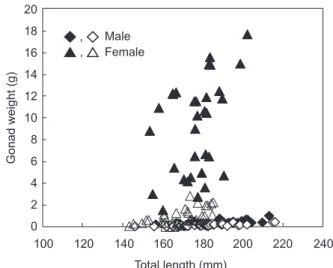 Fig. 6.  Seasonal variations of the ovarian maturity stage  composition of Chaetodontoplus septentrionalis.