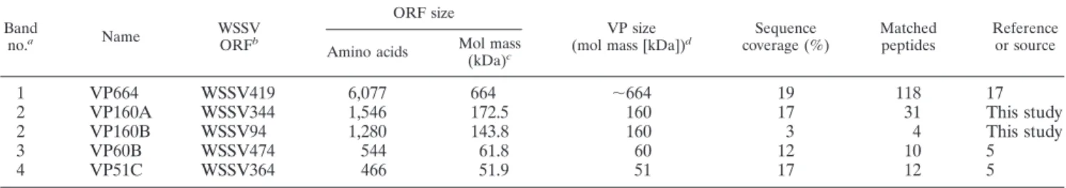 Figure 4A also suggests that the debris fraction proteins readily associate with vitellogenin and hemocyanin, both of which are soluble and would otherwise be expected to be found in the soluble protein fraction.