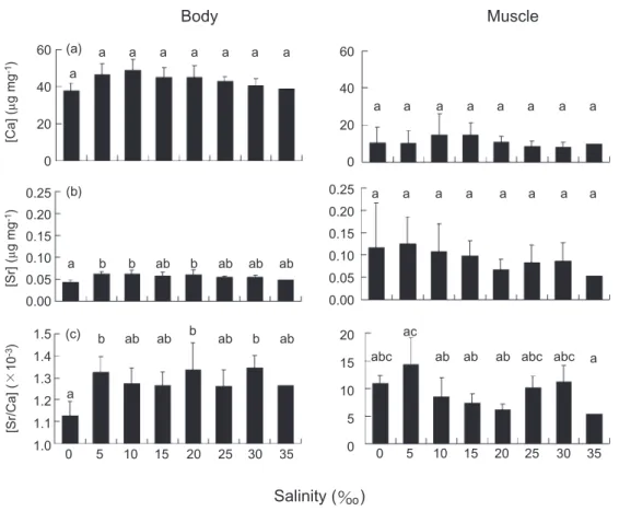 Fig. 7. Comparisons of mean Ca contents (a), Sr contents (b) and Sr:Ca ratios (c) in the body and muscle tissues of juvenile grey mul- mul-let of salinities from 0 to 35 