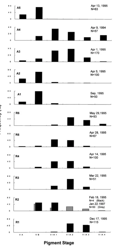 Fig. 4. Pigmentation stage frequency distribution of A. anguilla and A. rostrata elvers from 11 estuaries (sites A1±A5 and R1±R6 refer to Fig