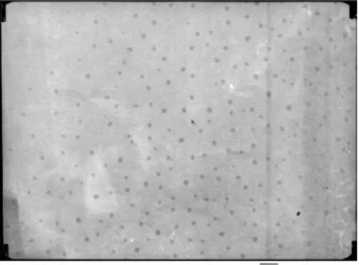 Fig. 9. TEM image of p-hydroxyl thiophenol capped CdS nanoparticles.