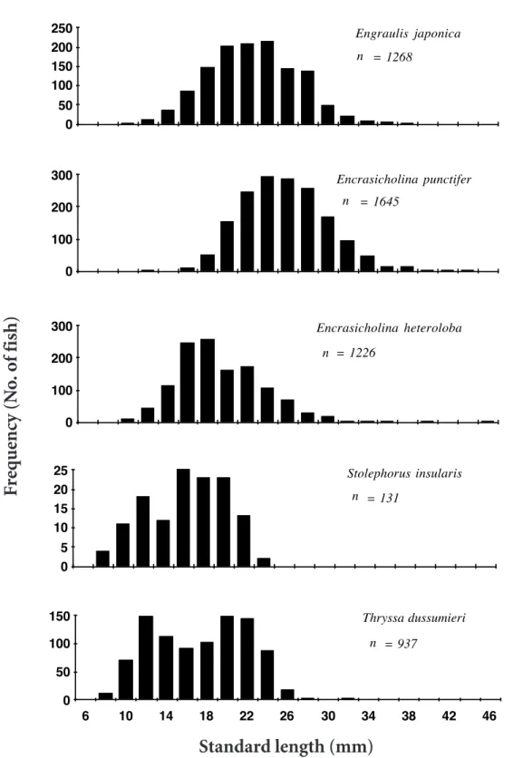 Figure 2.  Length frequency distributions of engraulid larvae collected by a commercial set-net in coastal waters off the Tanshui River Estuary, northern Taiwan, April 1992 to November 1993.